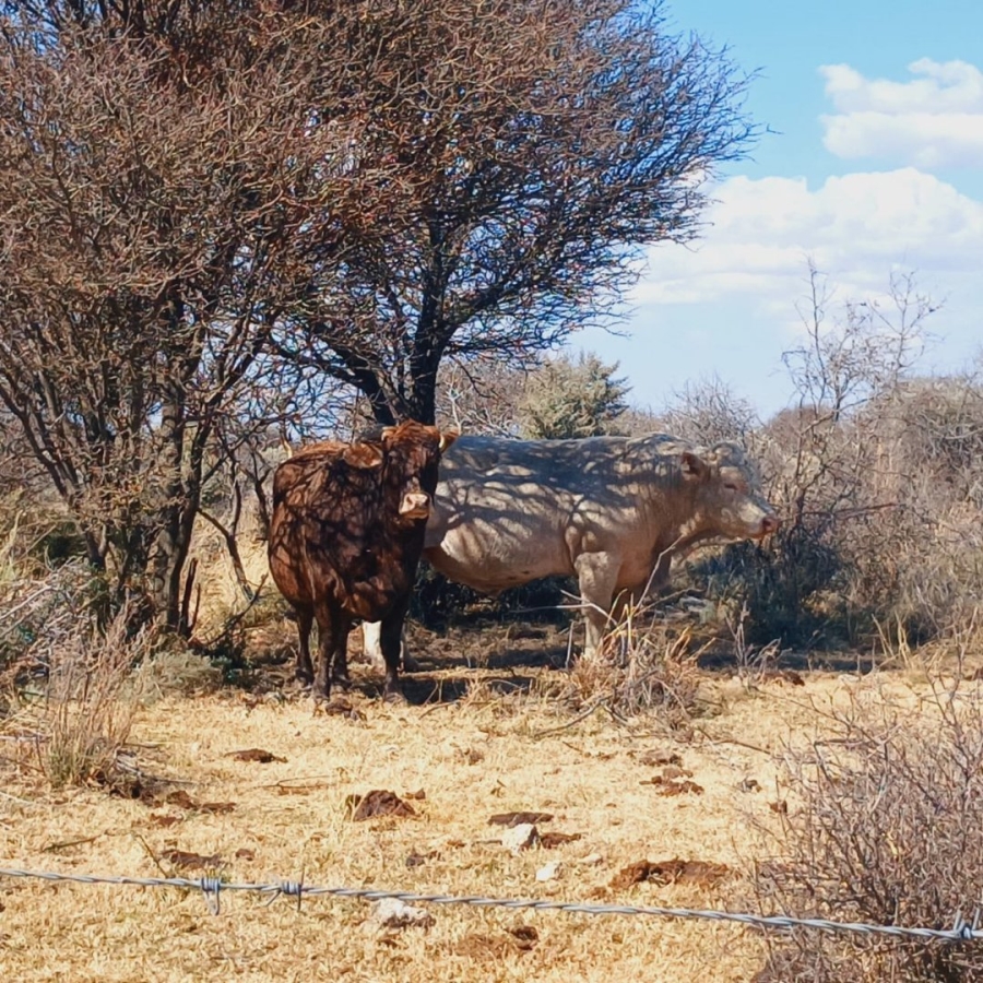  Bedroom Property for Sale in Barkly West Rural Northern Cape